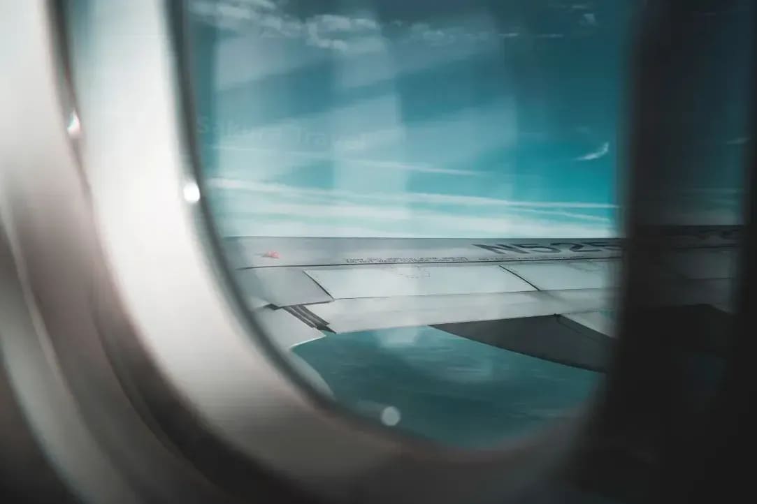 Sakura Travel 5