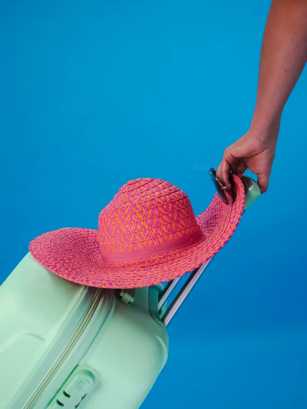 Sakura Travel 9